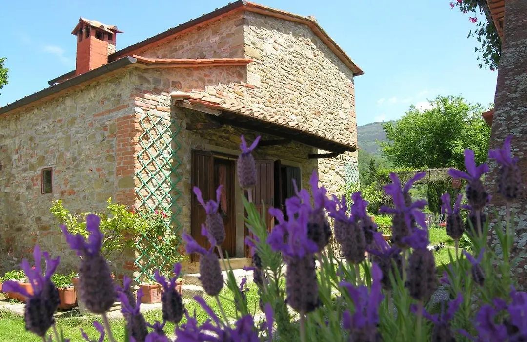 Agriturismo Botro-1